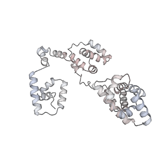 43327_8vkq_YA_v1-0
CW Flagellar Switch Complex - FliF, FliG, FliM, and FliN forming the C-ring from Salmonella