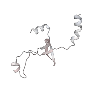 43327_8vkq_YB_v1-0
CW Flagellar Switch Complex - FliF, FliG, FliM, and FliN forming the C-ring from Salmonella