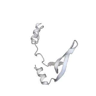 43327_8vkq_YC_v1-0
CW Flagellar Switch Complex - FliF, FliG, FliM, and FliN forming the C-ring from Salmonella