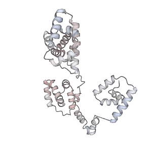 43327_8vkq_YD_v1-0
CW Flagellar Switch Complex - FliF, FliG, FliM, and FliN forming the C-ring from Salmonella