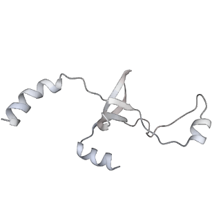 43327_8vkq_YE_v1-0
CW Flagellar Switch Complex - FliF, FliG, FliM, and FliN forming the C-ring from Salmonella