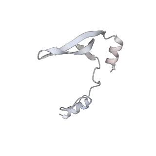 43327_8vkq_YF_v1-0
CW Flagellar Switch Complex - FliF, FliG, FliM, and FliN forming the C-ring from Salmonella