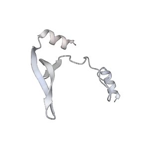 43327_8vkq_Y_v1-0
CW Flagellar Switch Complex - FliF, FliG, FliM, and FliN forming the C-ring from Salmonella