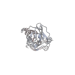 43327_8vkq_ZA_v1-0
CW Flagellar Switch Complex - FliF, FliG, FliM, and FliN forming the C-ring from Salmonella