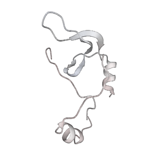 43327_8vkq_ZB_v1-0
CW Flagellar Switch Complex - FliF, FliG, FliM, and FliN forming the C-ring from Salmonella