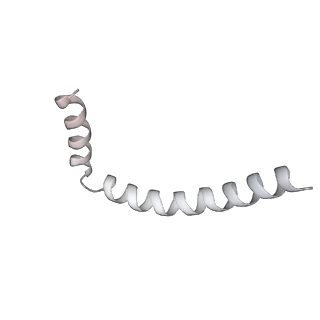 43327_8vkq_ZC_v1-0
CW Flagellar Switch Complex - FliF, FliG, FliM, and FliN forming the C-ring from Salmonella