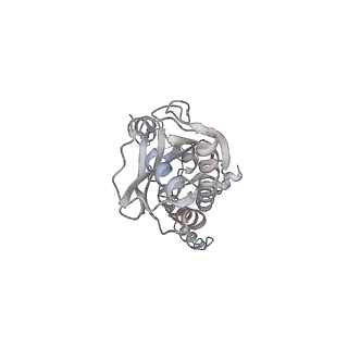 43327_8vkq_ZD_v1-0
CW Flagellar Switch Complex - FliF, FliG, FliM, and FliN forming the C-ring from Salmonella