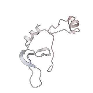 43327_8vkq_ZE_v1-0
CW Flagellar Switch Complex - FliF, FliG, FliM, and FliN forming the C-ring from Salmonella