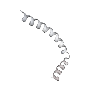 43327_8vkq_ZF_v1-0
CW Flagellar Switch Complex - FliF, FliG, FliM, and FliN forming the C-ring from Salmonella