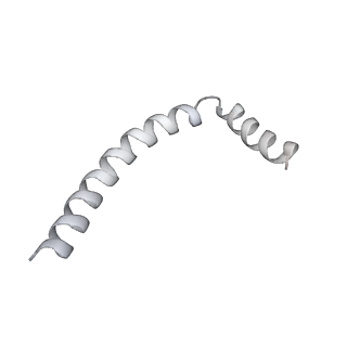 43327_8vkq_Z_v1-0
CW Flagellar Switch Complex - FliF, FliG, FliM, and FliN forming the C-ring from Salmonella