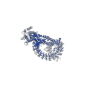 8702_5vkq_A_v1-7
Structure of a mechanotransduction ion channel Drosophila NOMPC in nanodisc