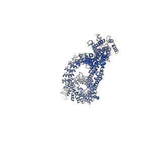 8702_5vkq_B_v1-7
Structure of a mechanotransduction ion channel Drosophila NOMPC in nanodisc