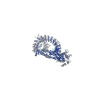 8702_5vkq_C_v1-7
Structure of a mechanotransduction ion channel Drosophila NOMPC in nanodisc