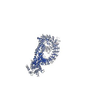 8702_5vkq_D_v1-6
Structure of a mechanotransduction ion channel Drosophila NOMPC in nanodisc