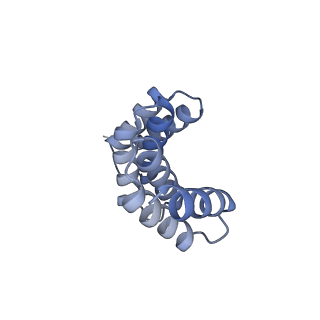 21231_6vl6_A_v1-2
De novo designed tetrahedral nanoparticle T33_dn2 presenting BG505 SOSIP trimers