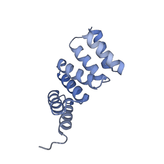 21231_6vl6_D_v1-2
De novo designed tetrahedral nanoparticle T33_dn2 presenting BG505 SOSIP trimers