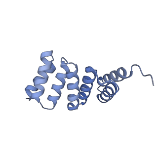 21231_6vl6_E_v1-2
De novo designed tetrahedral nanoparticle T33_dn2 presenting BG505 SOSIP trimers