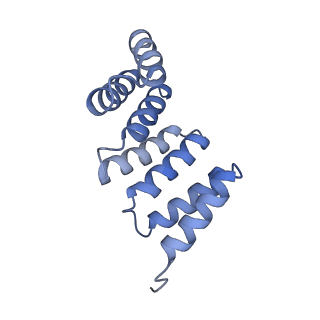 21231_6vl6_F_v1-2
De novo designed tetrahedral nanoparticle T33_dn2 presenting BG505 SOSIP trimers