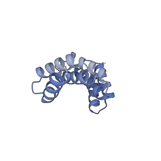 21231_6vl6_G_v1-2
De novo designed tetrahedral nanoparticle T33_dn2 presenting BG505 SOSIP trimers