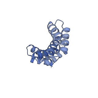 21231_6vl6_H_v1-2
De novo designed tetrahedral nanoparticle T33_dn2 presenting BG505 SOSIP trimers