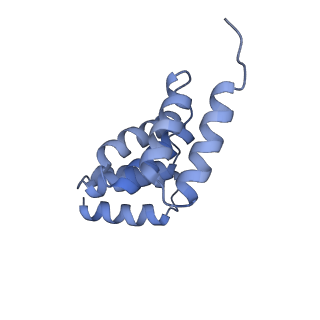 21231_6vl6_J_v1-2
De novo designed tetrahedral nanoparticle T33_dn2 presenting BG505 SOSIP trimers