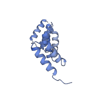 21231_6vl6_L_v1-2
De novo designed tetrahedral nanoparticle T33_dn2 presenting BG505 SOSIP trimers