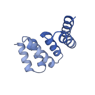 21231_6vl6_V_v1-2
De novo designed tetrahedral nanoparticle T33_dn2 presenting BG505 SOSIP trimers