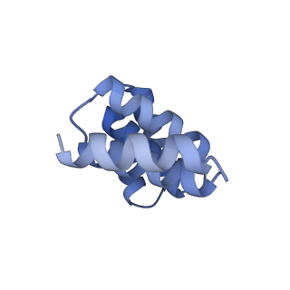 21231_6vl6_X_v1-2
De novo designed tetrahedral nanoparticle T33_dn2 presenting BG505 SOSIP trimers