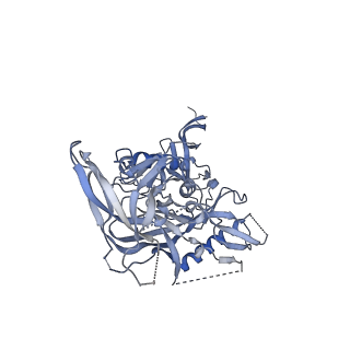 21232_6vlr_A_v1-0
BG505 SOSIP.v5.2 in complex with rhesus macaque Fab RM20E1 and PGT122 Fab