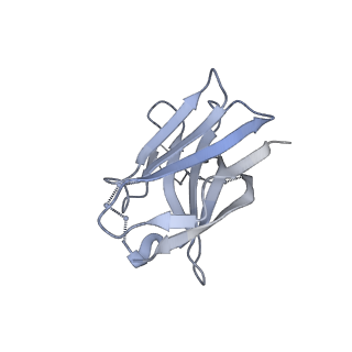 21232_6vlr_D_v1-0
BG505 SOSIP.v5.2 in complex with rhesus macaque Fab RM20E1 and PGT122 Fab