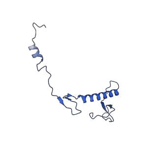 21233_6vlz_0_v1-1
Structure of the human mitochondrial ribosome-EF-G1 complex (ClassI)