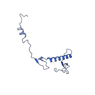 21233_6vlz_0_v1-2
Structure of the human mitochondrial ribosome-EF-G1 complex (ClassI)