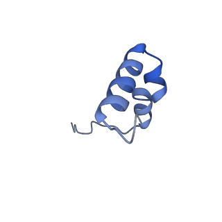 21233_6vlz_2_v1-1
Structure of the human mitochondrial ribosome-EF-G1 complex (ClassI)