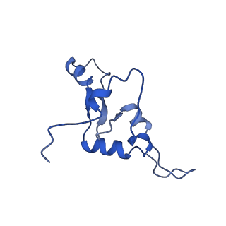 21233_6vlz_3_v1-1
Structure of the human mitochondrial ribosome-EF-G1 complex (ClassI)