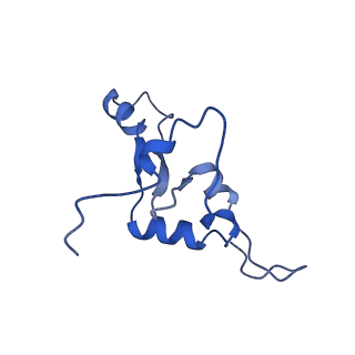 21233_6vlz_3_v1-2
Structure of the human mitochondrial ribosome-EF-G1 complex (ClassI)