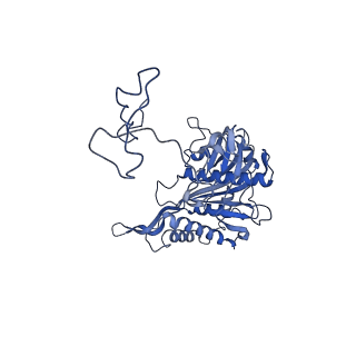 21233_6vlz_5_v1-1
Structure of the human mitochondrial ribosome-EF-G1 complex (ClassI)
