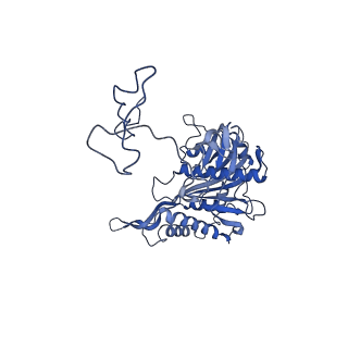 21233_6vlz_5_v1-2
Structure of the human mitochondrial ribosome-EF-G1 complex (ClassI)