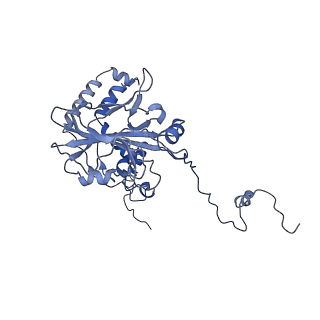 21233_6vlz_6_v1-1
Structure of the human mitochondrial ribosome-EF-G1 complex (ClassI)