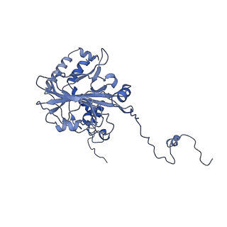 21233_6vlz_6_v1-2
Structure of the human mitochondrial ribosome-EF-G1 complex (ClassI)