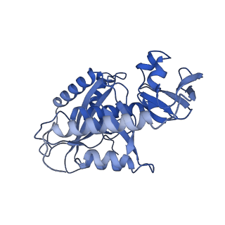 21233_6vlz_7_v1-2
Structure of the human mitochondrial ribosome-EF-G1 complex (ClassI)