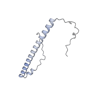 21233_6vlz_8_v1-1
Structure of the human mitochondrial ribosome-EF-G1 complex (ClassI)