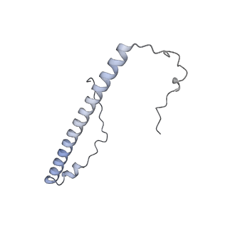 21233_6vlz_8_v1-2
Structure of the human mitochondrial ribosome-EF-G1 complex (ClassI)