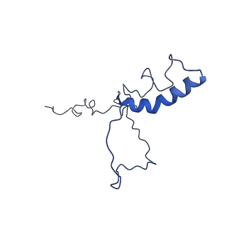21233_6vlz_9_v1-1
Structure of the human mitochondrial ribosome-EF-G1 complex (ClassI)
