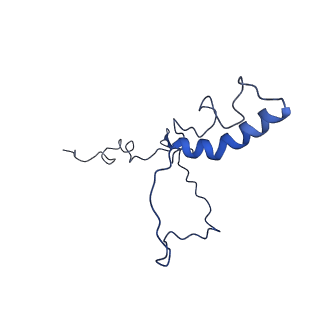 21233_6vlz_9_v1-2
Structure of the human mitochondrial ribosome-EF-G1 complex (ClassI)