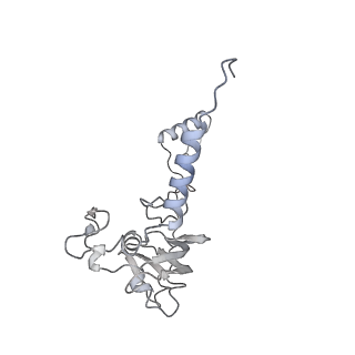 21233_6vlz_A0_v1-1
Structure of the human mitochondrial ribosome-EF-G1 complex (ClassI)