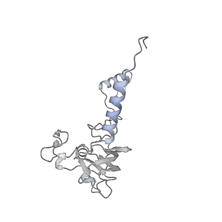 21233_6vlz_A0_v1-2
Structure of the human mitochondrial ribosome-EF-G1 complex (ClassI)