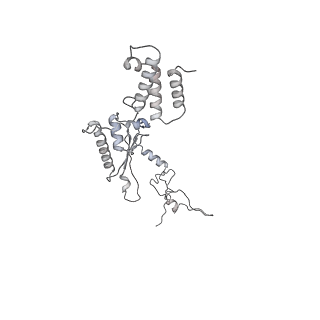 21233_6vlz_A1_v1-2
Structure of the human mitochondrial ribosome-EF-G1 complex (ClassI)