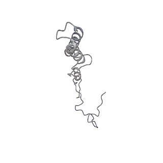 21233_6vlz_A2_v1-1
Structure of the human mitochondrial ribosome-EF-G1 complex (ClassI)