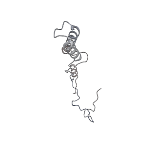 21233_6vlz_A2_v1-2
Structure of the human mitochondrial ribosome-EF-G1 complex (ClassI)