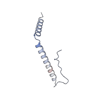 21233_6vlz_A3_v1-1
Structure of the human mitochondrial ribosome-EF-G1 complex (ClassI)